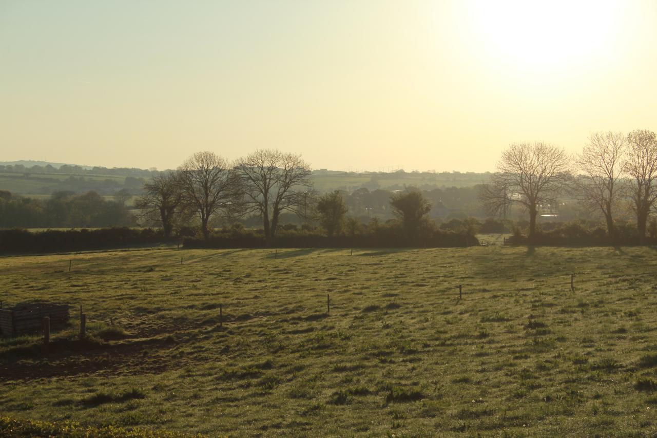 Grey Gables Farmhouse B&B Innishannon Esterno foto