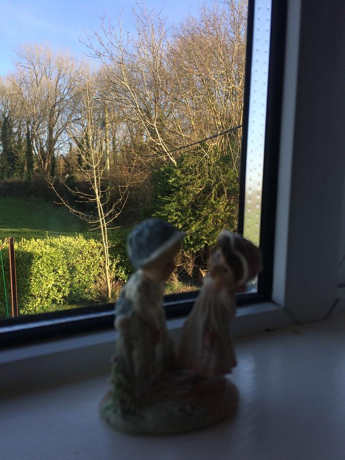 Grey Gables Farmhouse B&B Innishannon Esterno foto