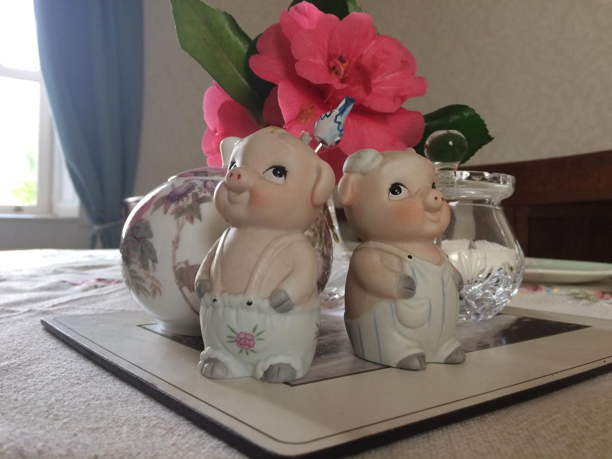 Grey Gables Farmhouse B&B Innishannon Esterno foto